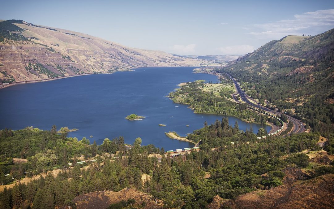 Columbia River Cold Water Refuges Plan