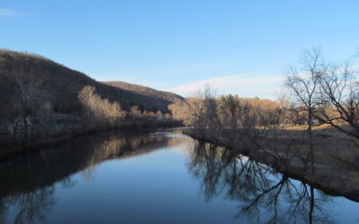 Managed thermal refuge case study: Housatonic River, CT, USA